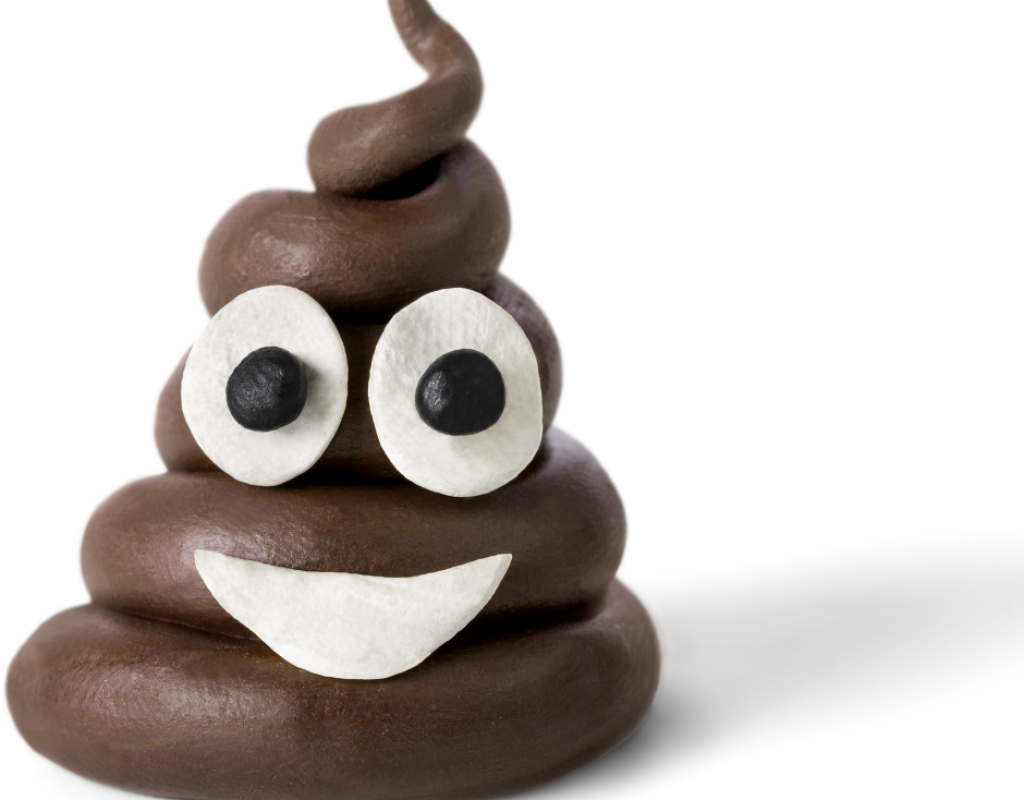 All About Poop